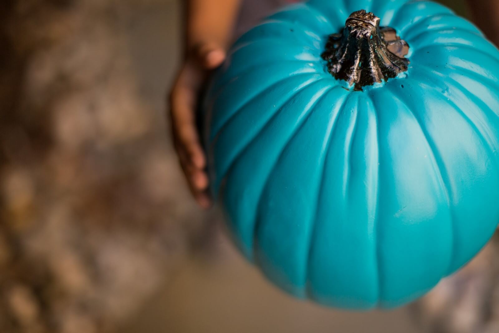 teal_pumpkin_project