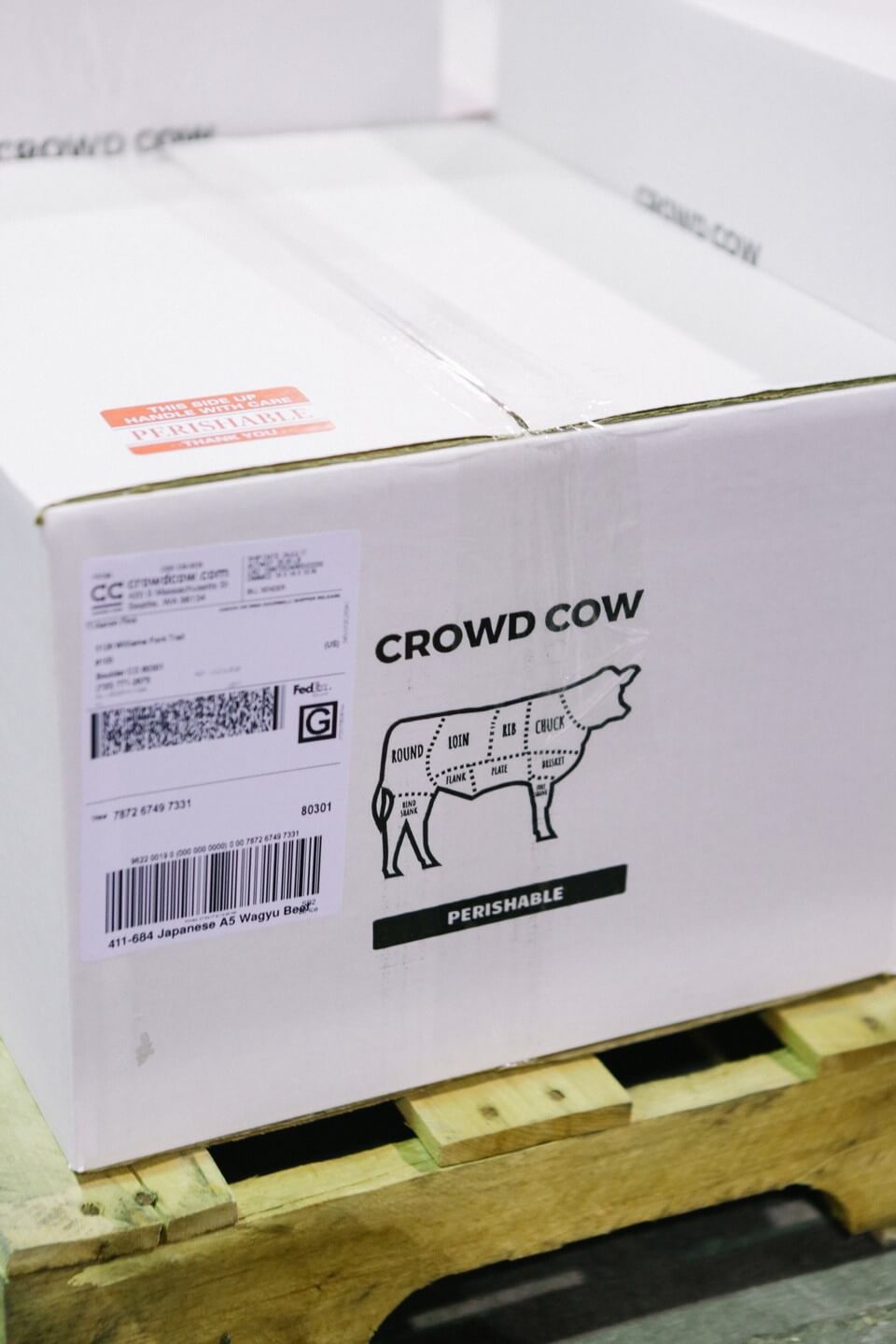 Crowd_cow